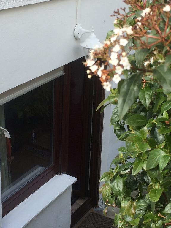 Appartement Rosengarten Wachtberg Eksteriør billede